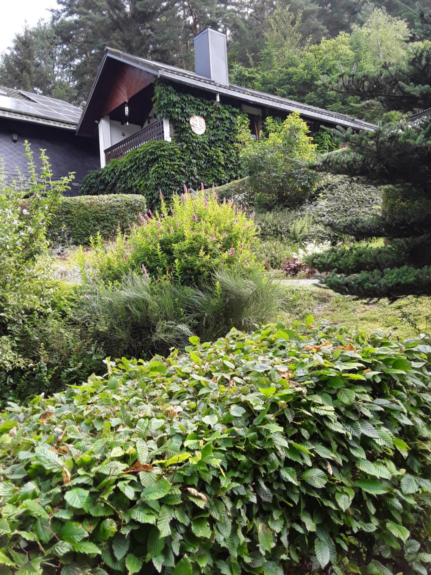 Kleines Haus Am Wald